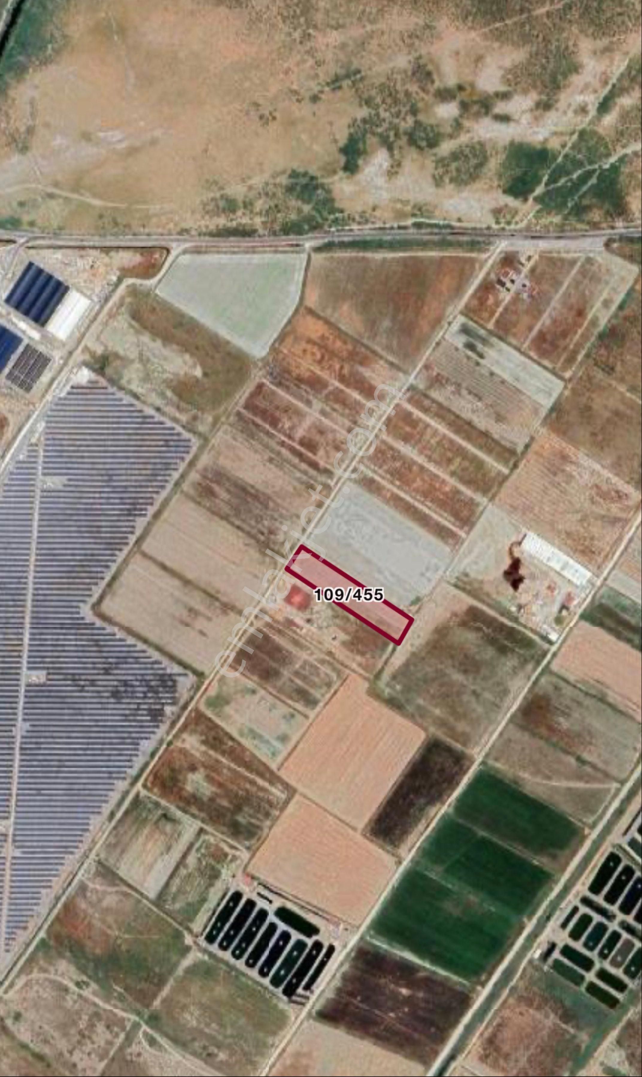 Muğla Milas Avşar Mah. Toprak Havuzlar Bölgesi Yol Cepheli Tarla ! - Görsel 3