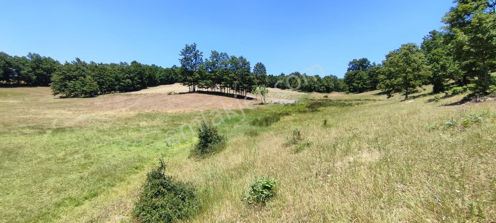 Bursa Orhaneli Ortaköy'de Satılık 2.186 M² Müstakil Tarla - Görsel 12