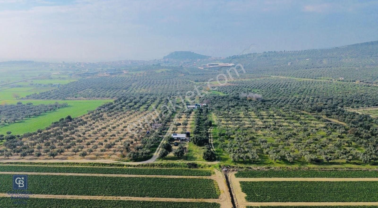 Foça Gerenköy'de Satılık 424 M2 Tarla - Görsel 4