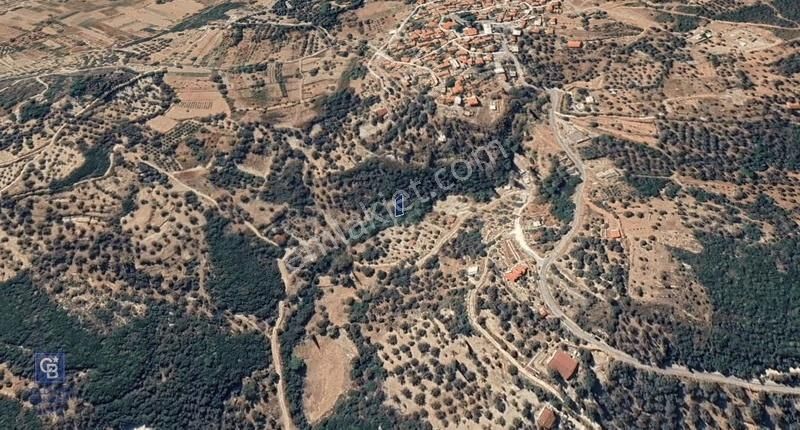 Karaburun Kösedere'de Müstakil Tapulu Bahçe - Görsel 11