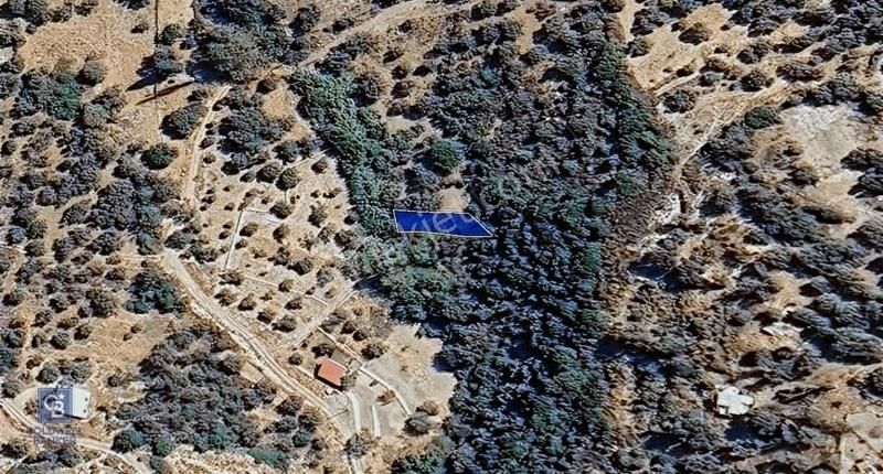 Karaburun Kösedere'de Müstakil Tapulu Bahçe