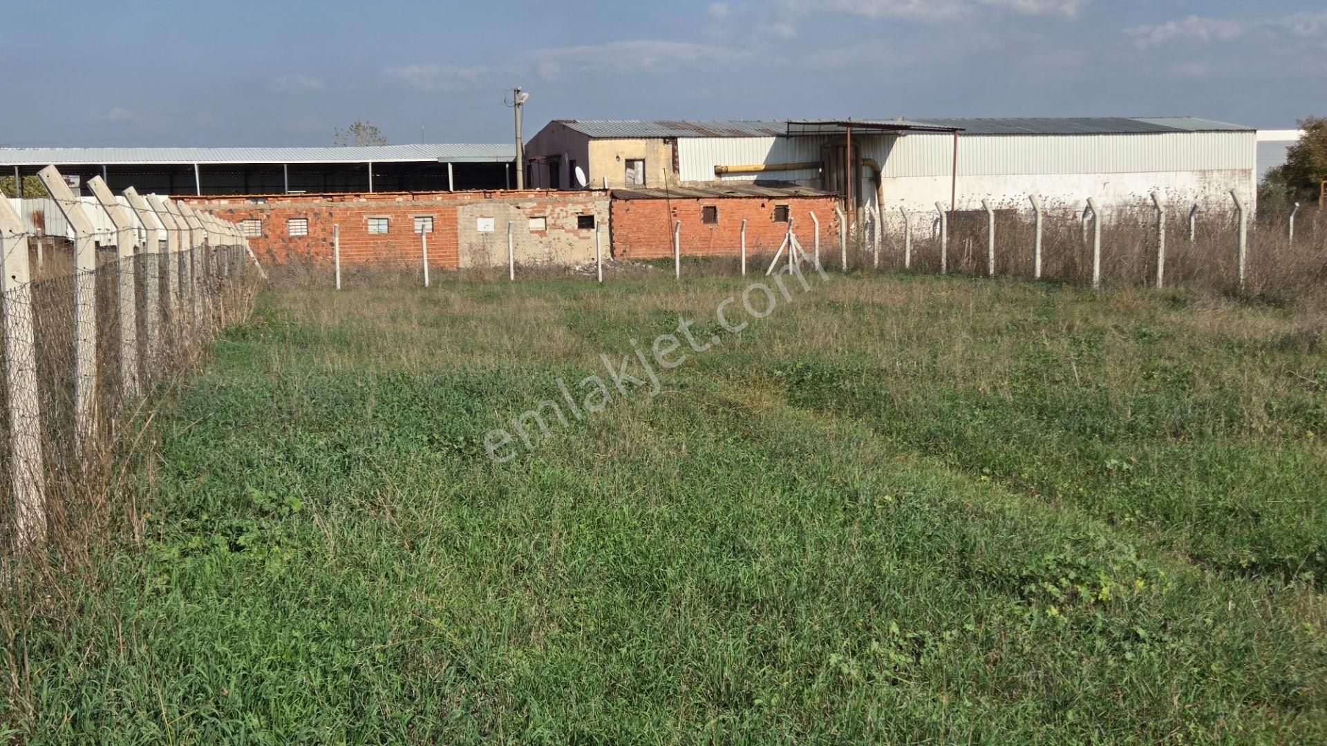 Kemalpaşa Armutlu'da Ankara Yoluna Yakın 800m2 Bağ Bahçe - Görsel 5