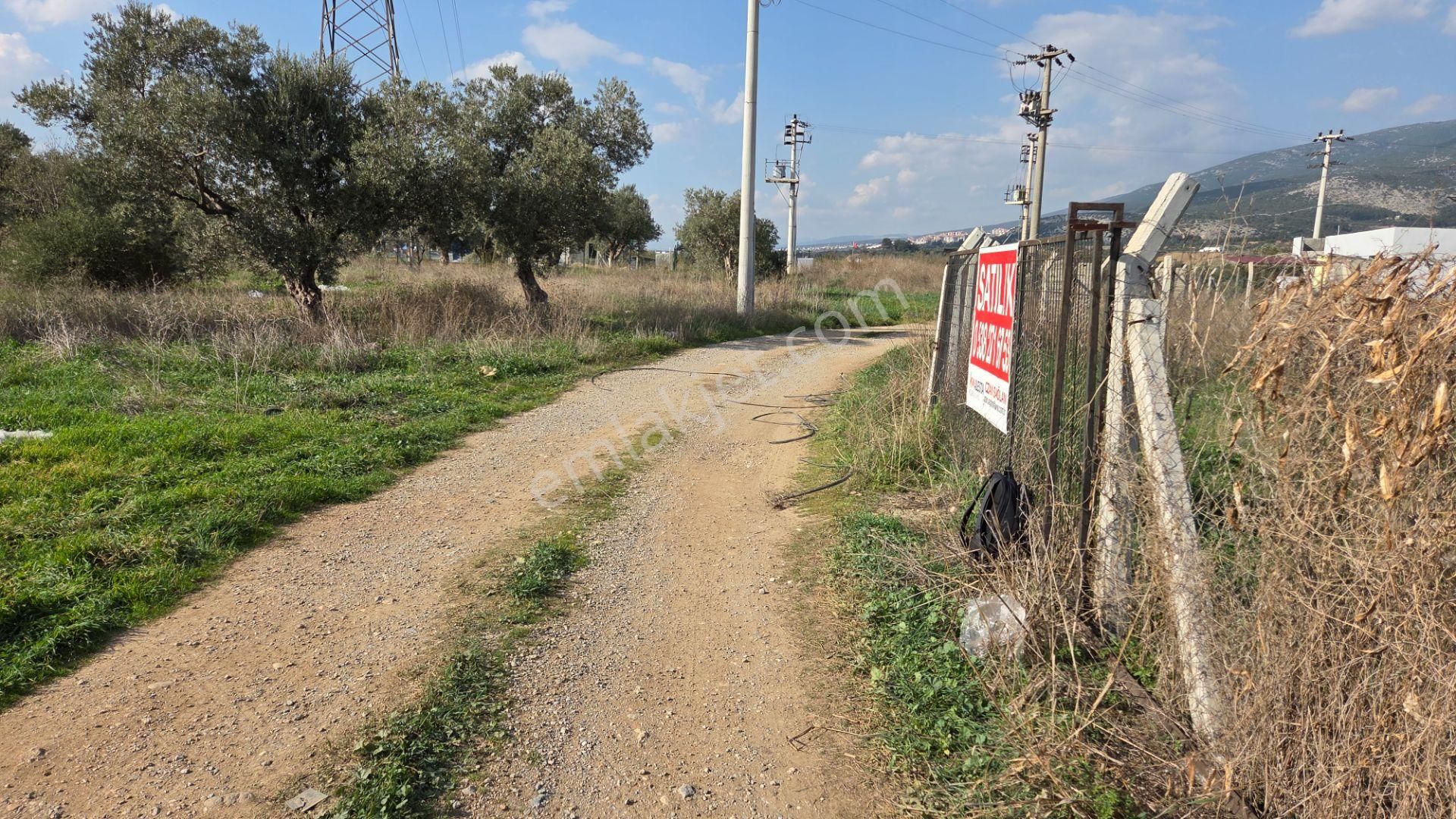 Kemalpaşa Armutlu'da Ankara Yoluna Yakın 800m2 Bağ Bahçe - Görsel 3