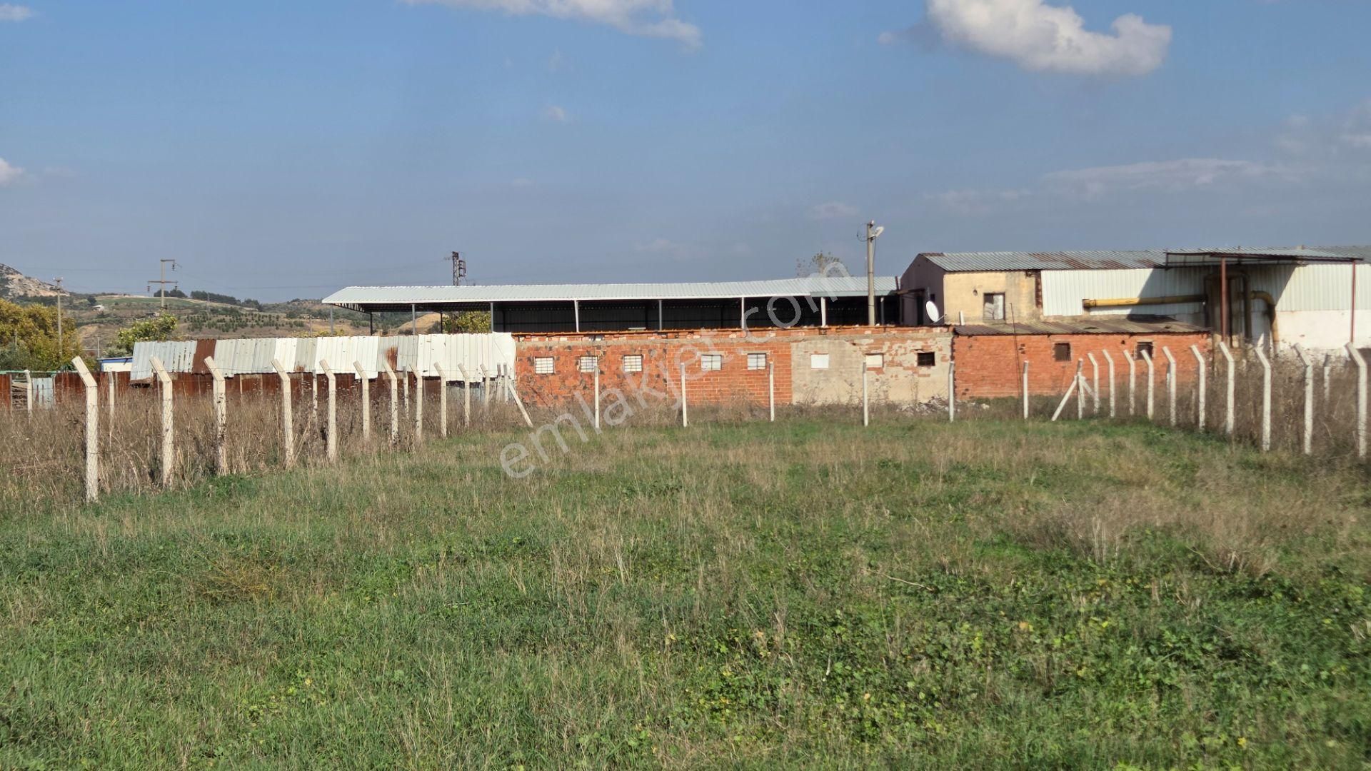 Kemalpaşa Armutlu'da Ankara Yoluna Yakın 800m2 Bağ Bahçe - Görsel 8