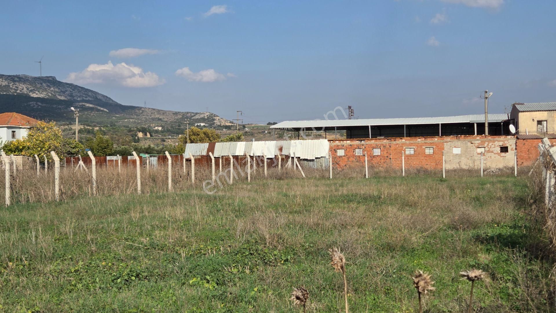 Kemalpaşa Armutlu'da Ankara Yoluna Yakın 800m2 Bağ Bahçe