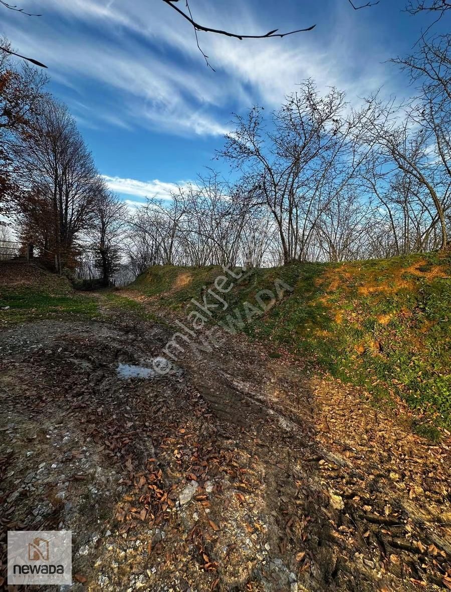 Karasu Darıçayırı'nda Manzaralı Anayola Cephe Fındık Bahçesi - Görsel 5