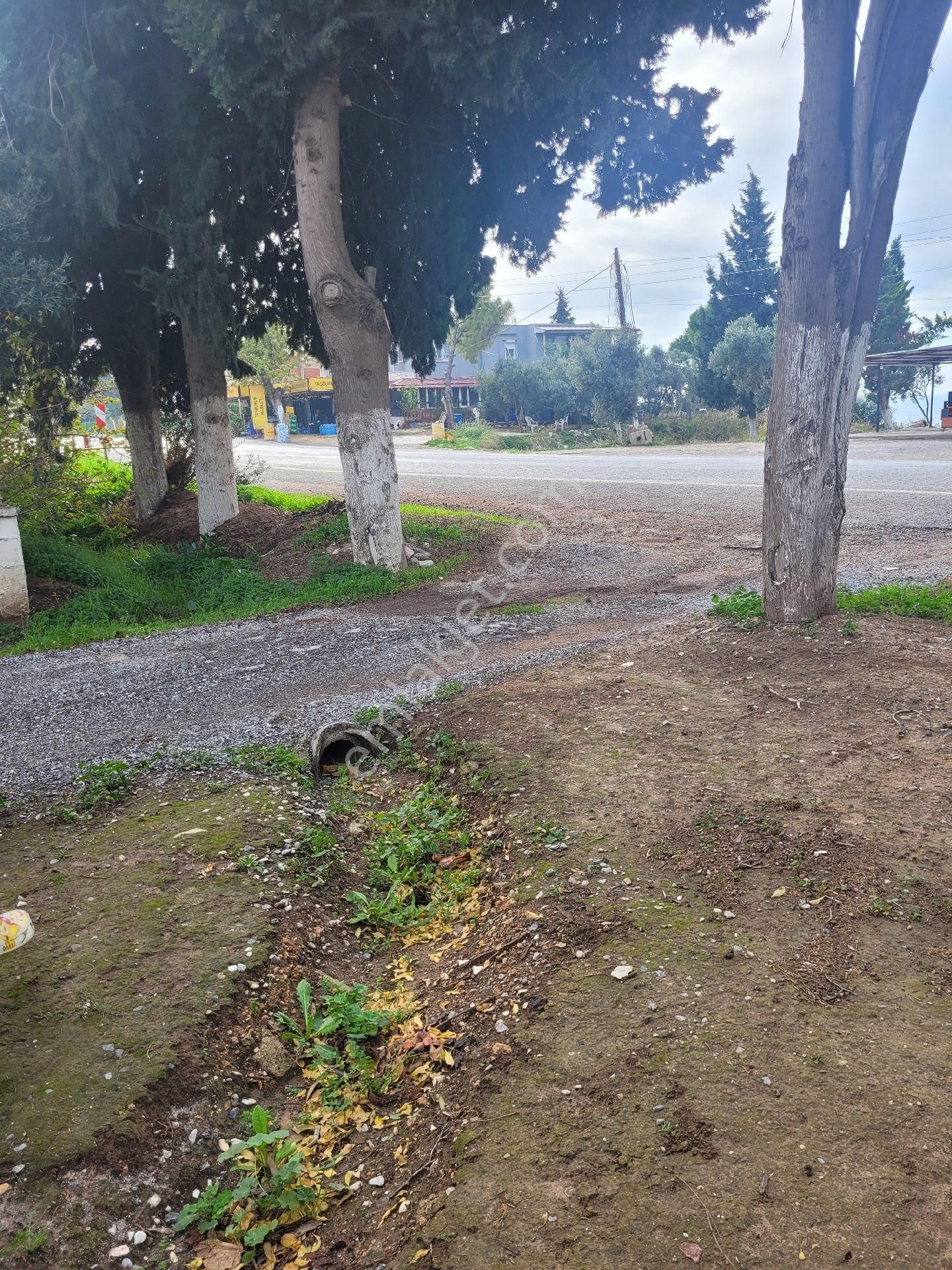 Didim Akköy Taşburun Sitesinde 629 M² Müstakil Ev - Görsel 31