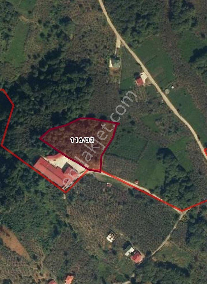 Özgür Emlak'tan Emsalsiz Konumda 5830 M2 Arazi - Görsel 6