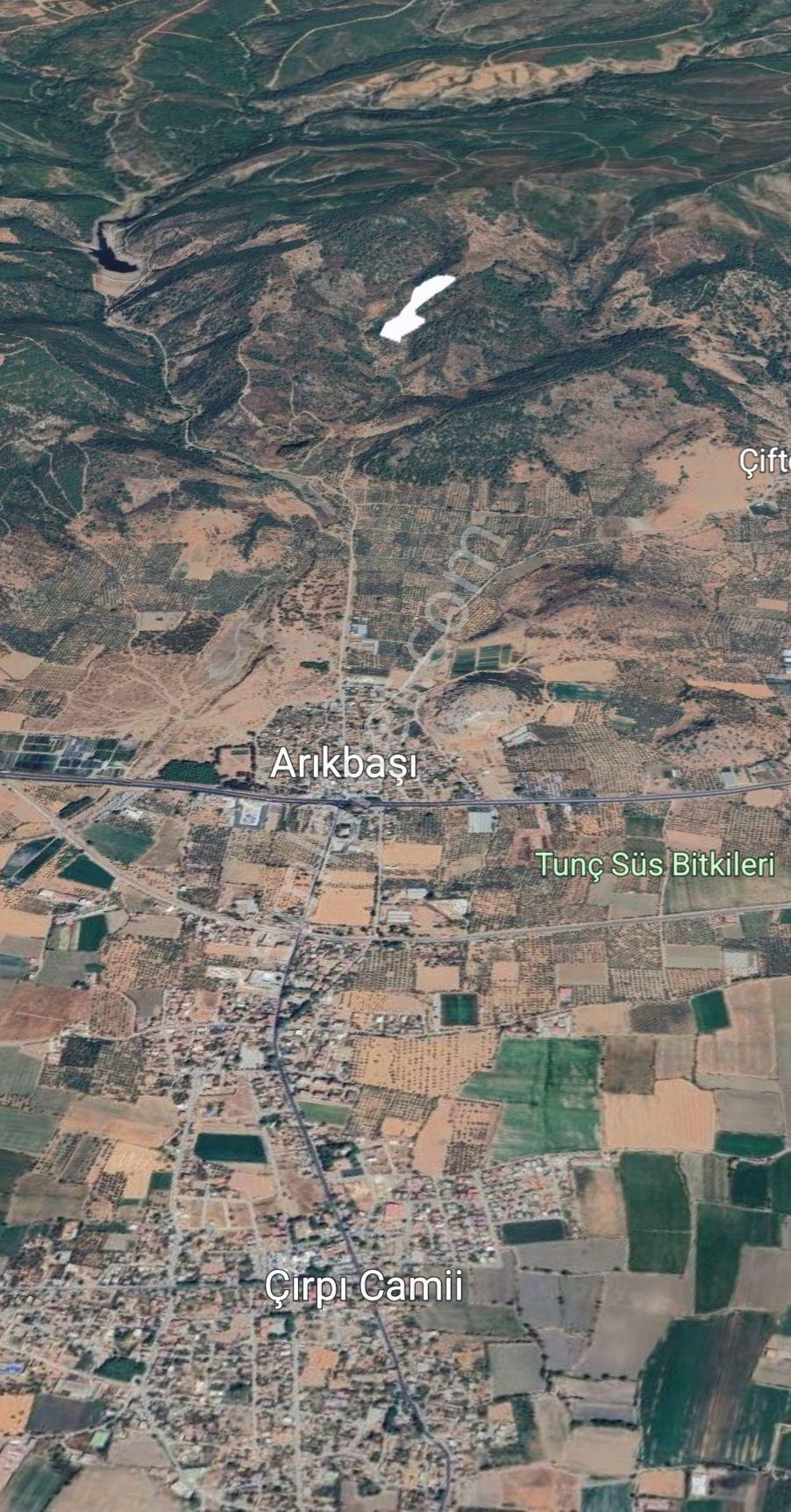 Bayındır Arıkbaşı'nda 18 Dönüm Zeytinlik - Görsel 5
