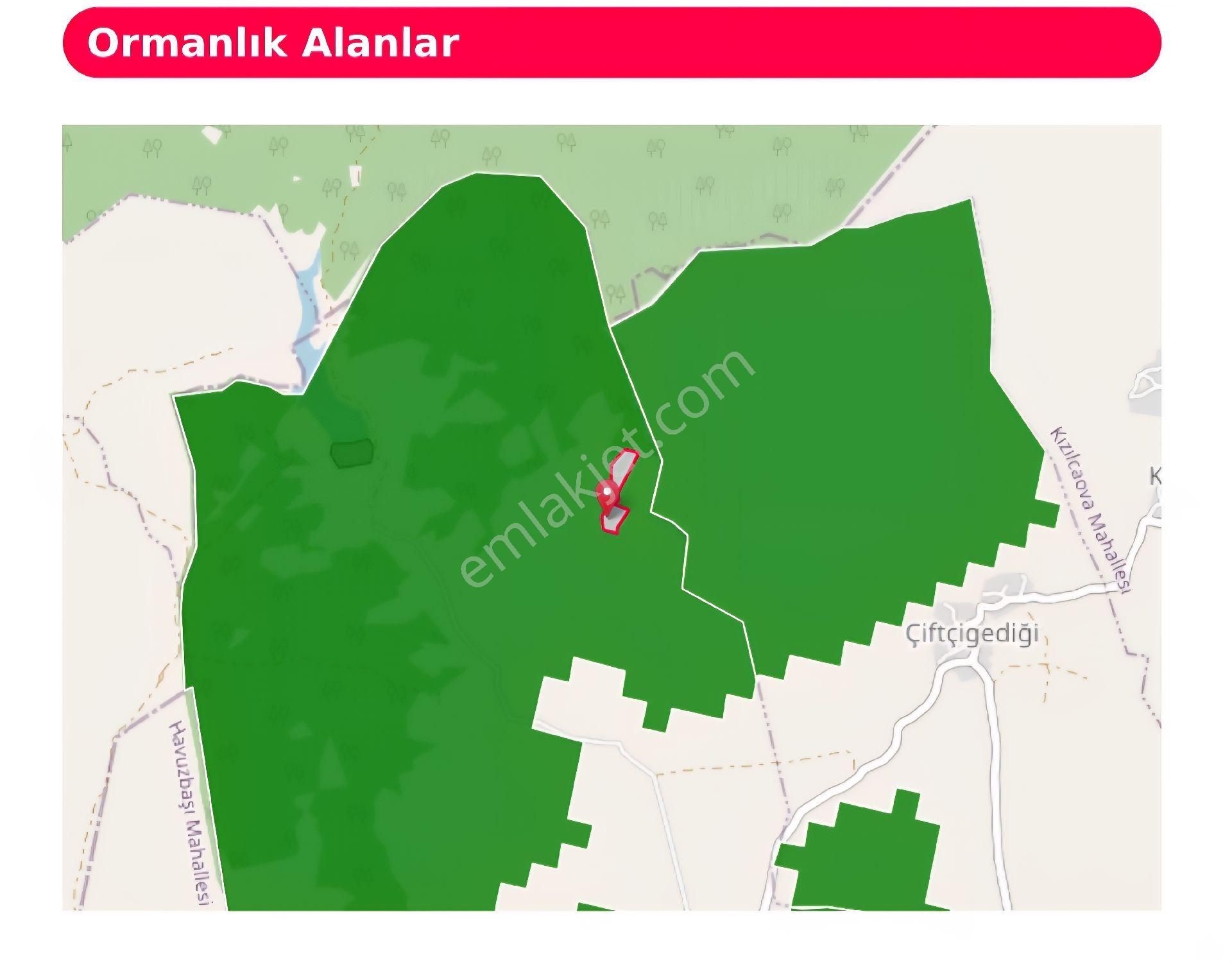 Bayındır Arıkbaşı'nda 18 Dönüm Zeytinlik - Görsel 10