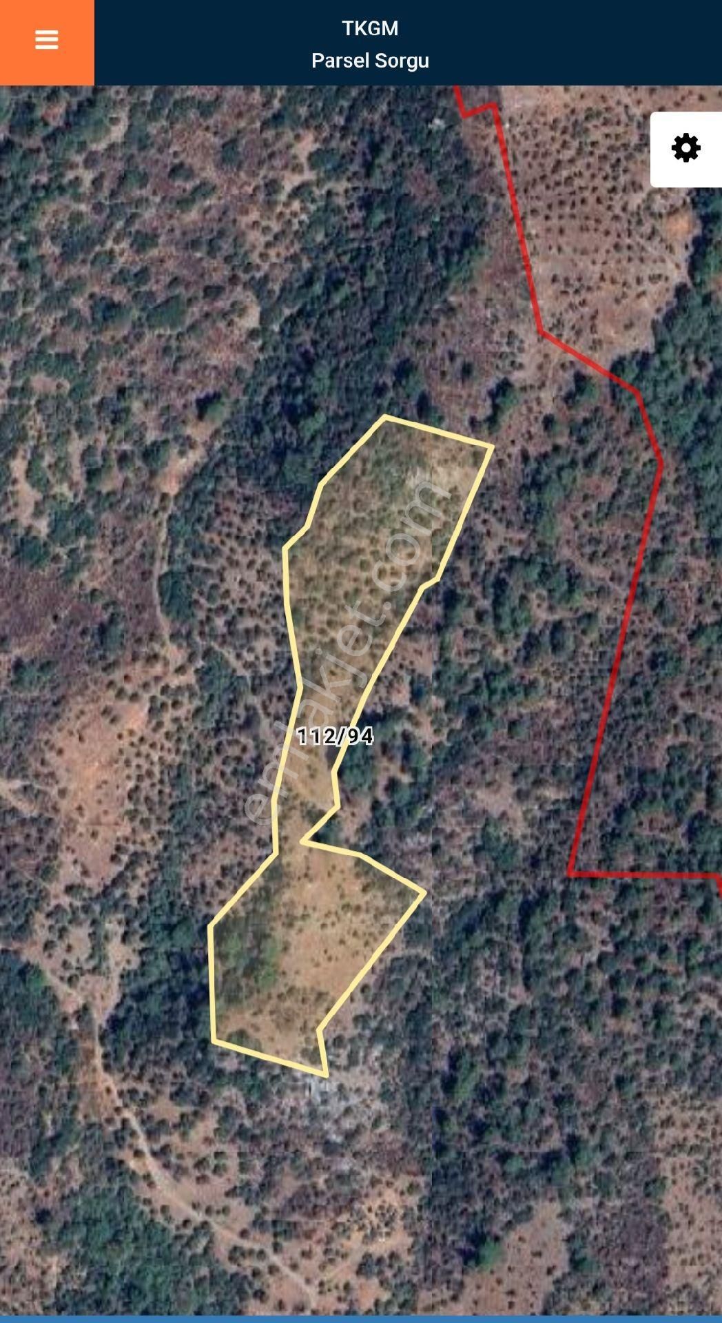 Bayındır Arıkbaşı'nda 18 Dönüm Zeytinlik - Görsel 3
