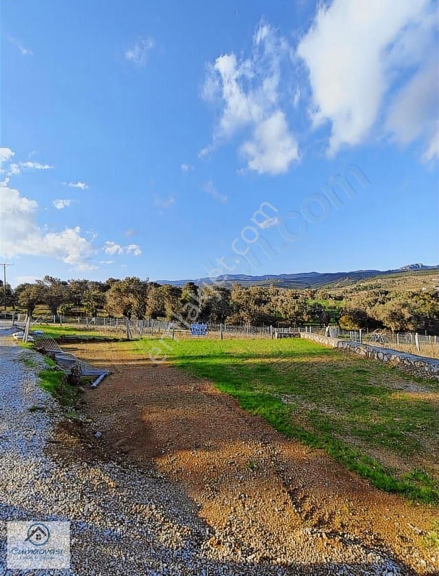Cumaovası Emlak'tan Satılık Akçaköy De Hobi Bahçesi - Görsel 6