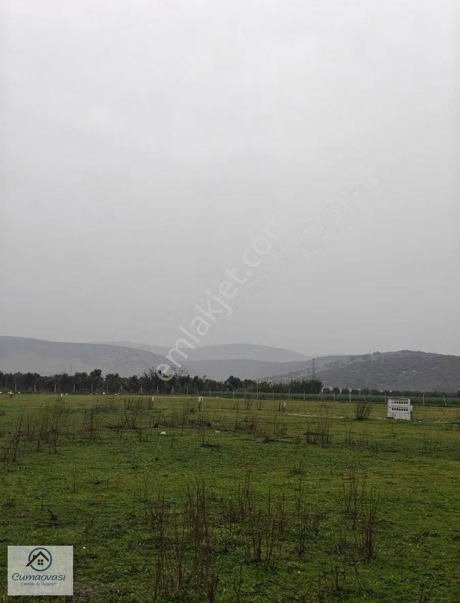 Cumaovası Emlak'tan Satılık Torbalı Hisse Tapulu Tarla - Görsel 2