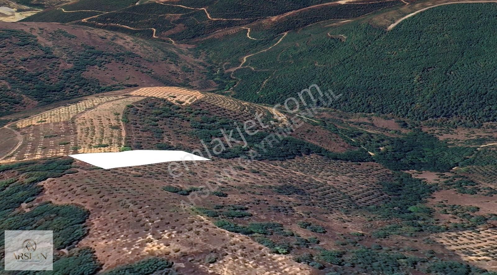 İznik Sarıağıl Köyünde Yatırımlık Hobi Bahçesi Arayanlara - Görsel 7