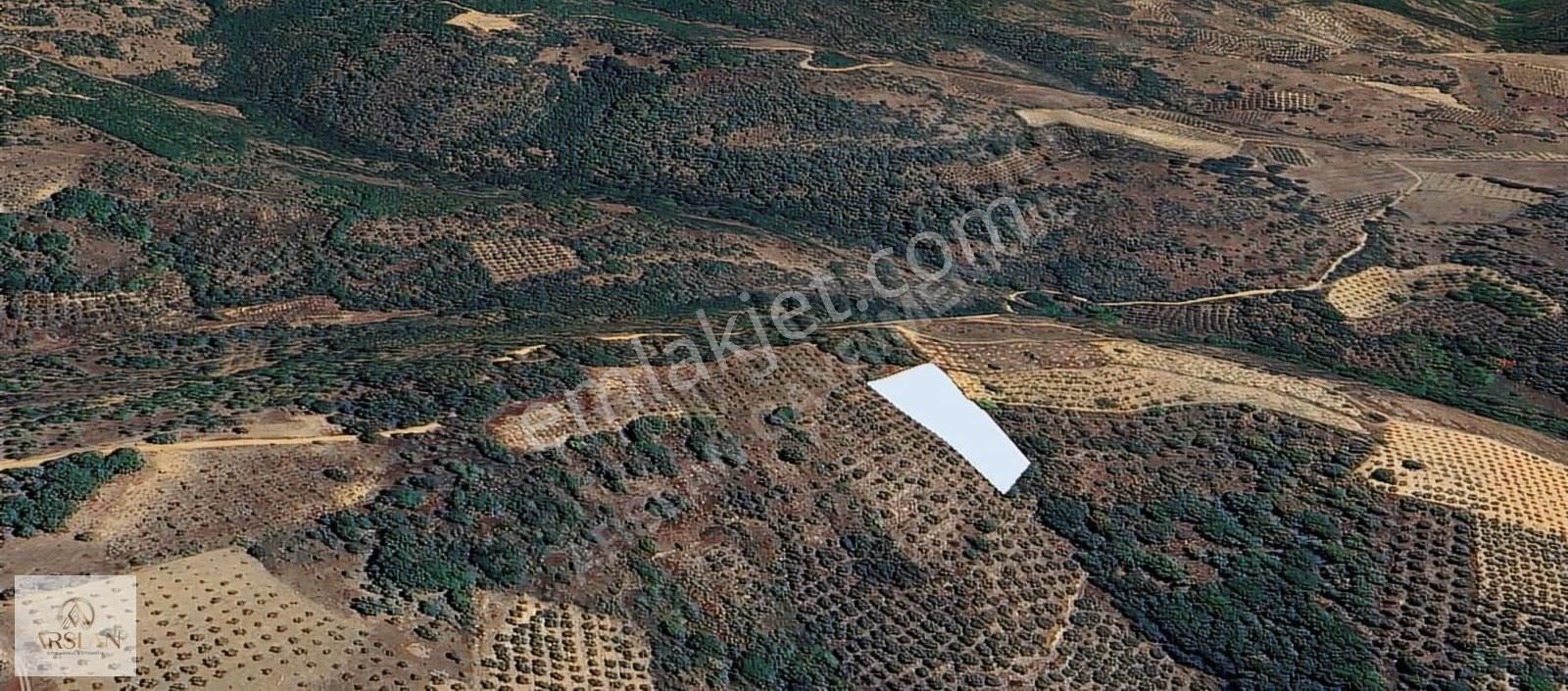 İznik Sarıağıl Köyünde Yatırımlık Hobi Bahçesi Arayanlara - Görsel 3