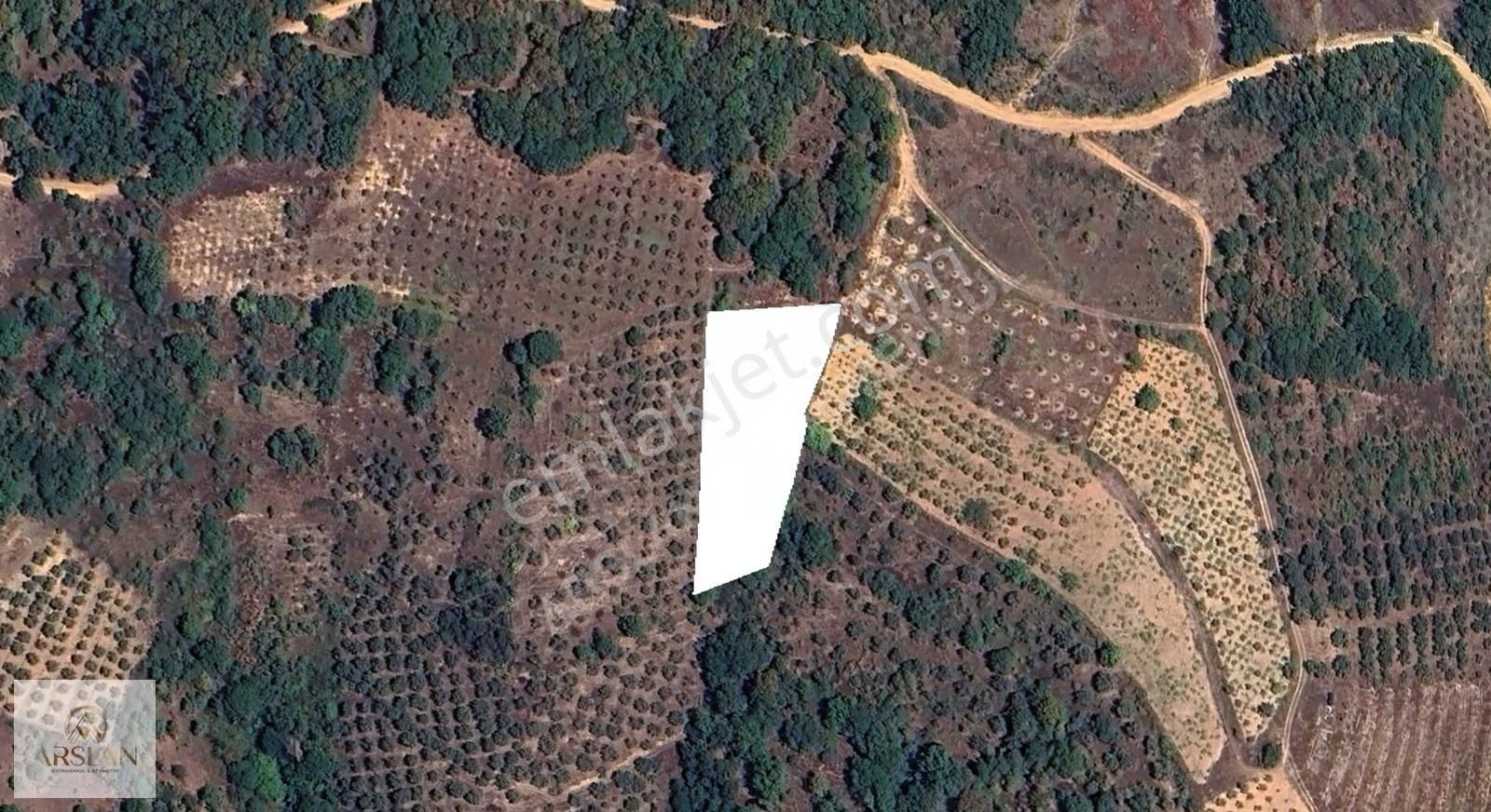 İznik Sarıağıl Köyünde Yatırımlık Hobi Bahçesi Arayanlara - Görsel 4