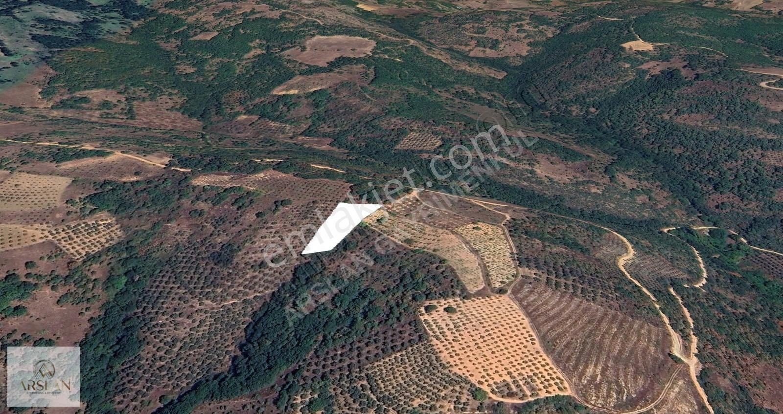 İznik Sarıağıl Köyünde Yatırımlık Hobi Bahçesi Arayanlara - Görsel 5