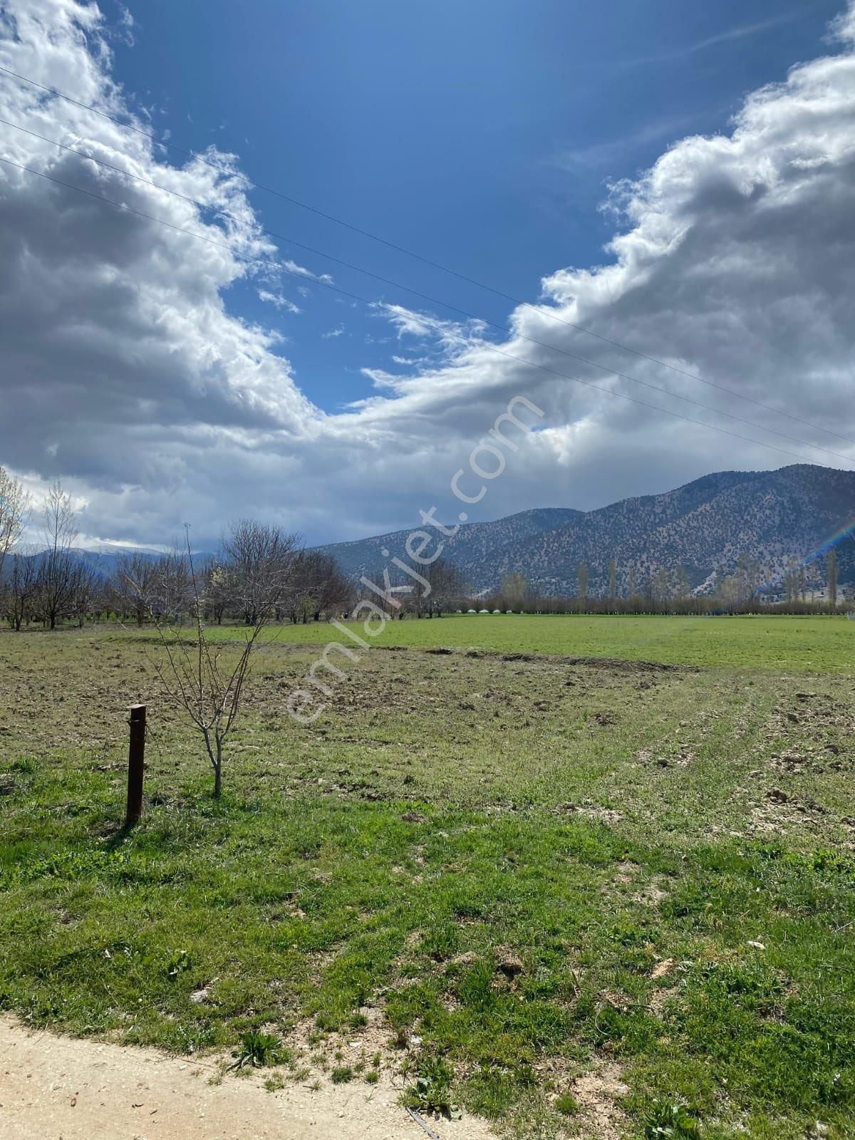 Elmalı Akçaeniş’te 6.200 M² Organik Tarıma Uygun Satılık Bahçe