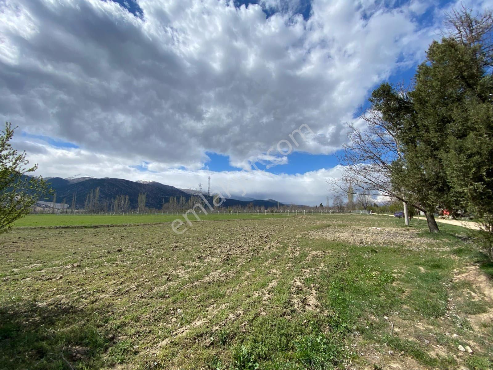 Elmalı Akçaeniş’te 6.200 M² Organik Tarıma Uygun Satılık Bahçe - Görsel 4