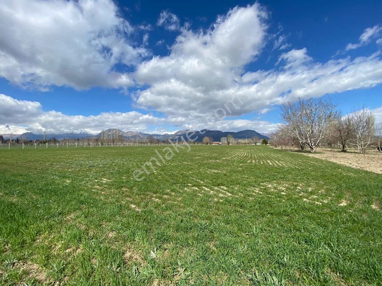 Elmalı Akçaeniş’te 6.200 M² Organik Tarıma Uygun Satılık Bahçe - Görsel 7