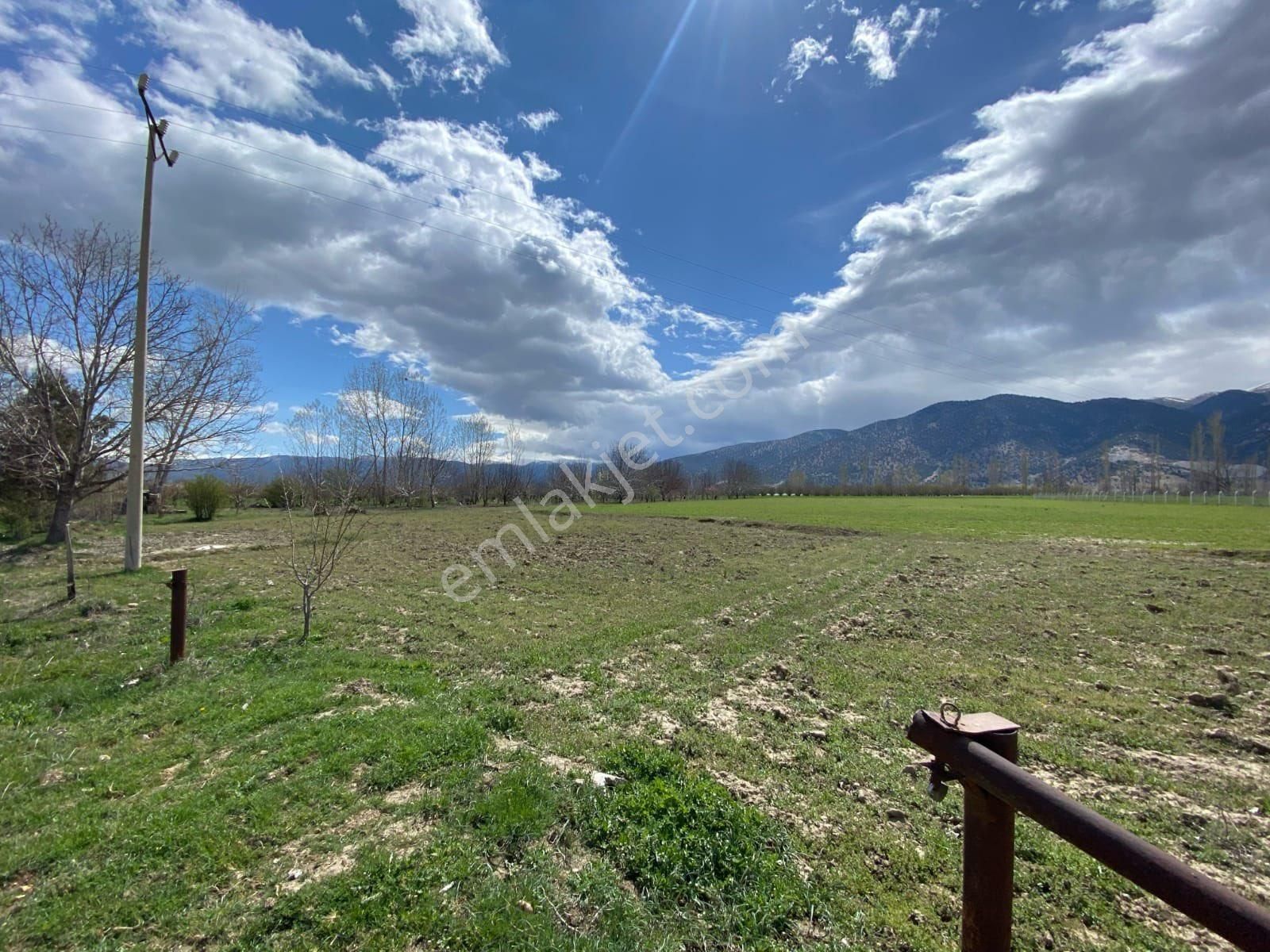 Elmalı Akçaeniş’te 6.200 M² Organik Tarıma Uygun Satılık Bahçe - Görsel 6