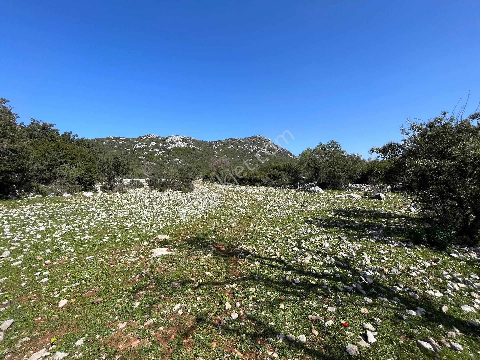 investment listing 15