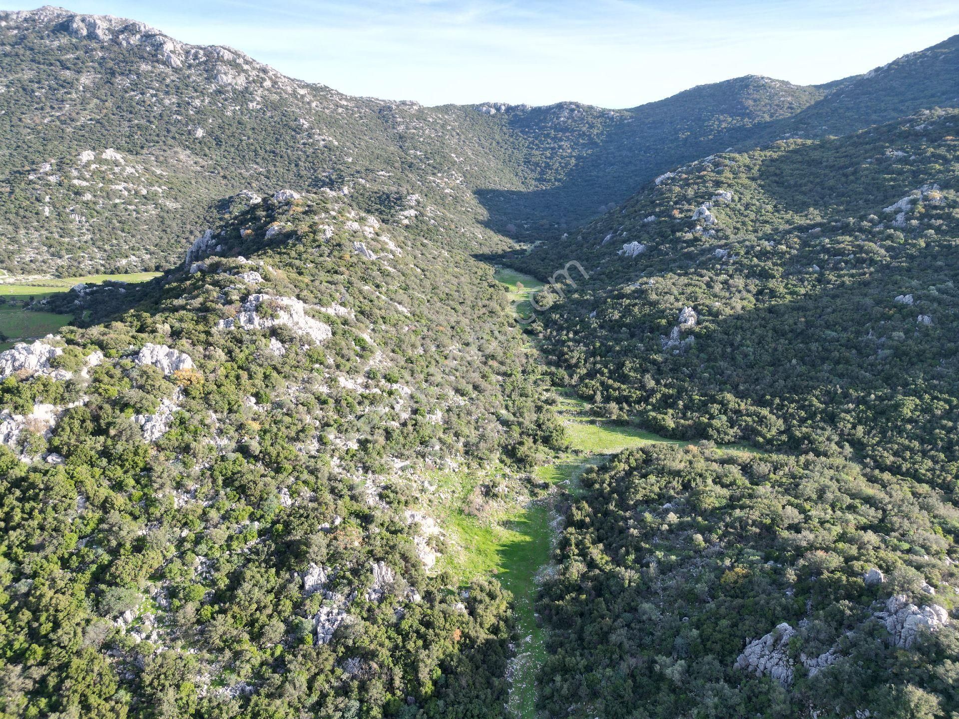 Joker: Marmaris Söğüt Yatırıma Uygun Resmi Yolu Olan Satılık Tarla - Görsel 2