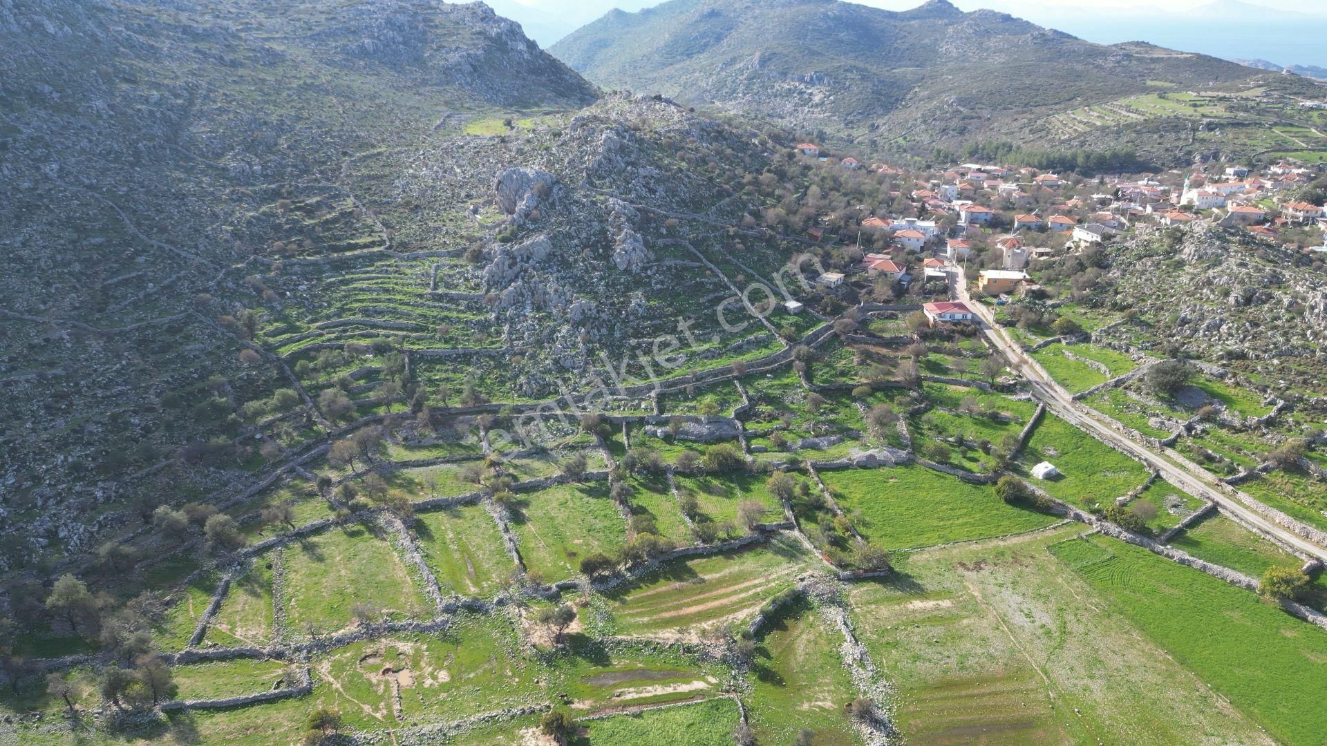 Joker: Marmaris Taşlıca Evlere 180 Metre Yakınlıkta Yatırım İçin İdeal Tarla - Görsel 4