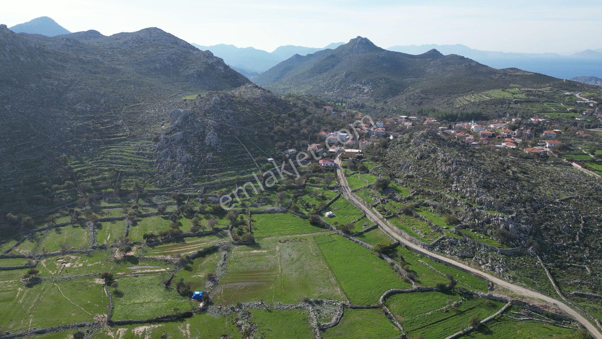 Joker: Marmaris Taşlıca Evlere 180 Metre Yakınlıkta Yatırım İçin İdeal Tarla - Görsel 10
