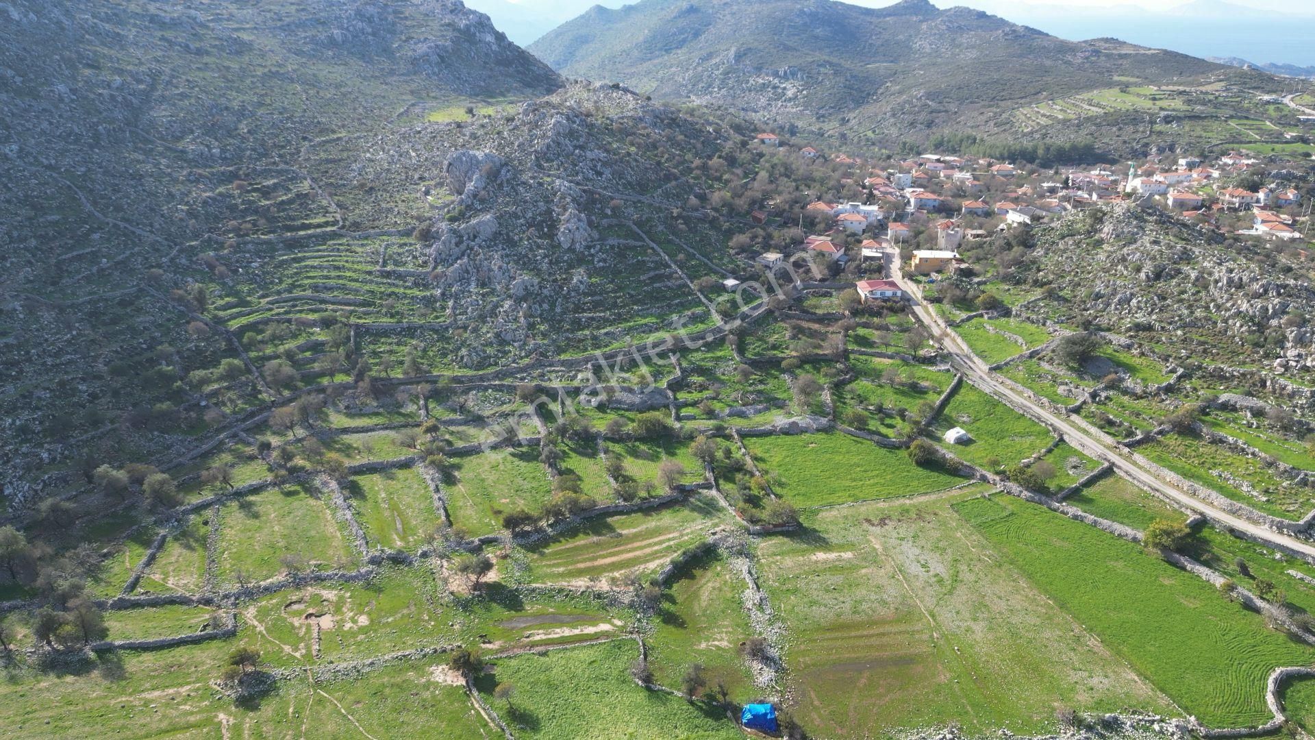 Joker: Marmaris Taşlıca Evlere 180 Metre Yakınlıkta Yatırım İçin İdeal Tarla - Görsel 5