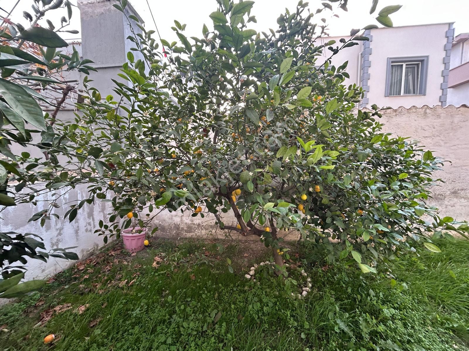 Seferihisar Çolak İbrahim De Locate Den Satılık 2+1 - Görsel 18