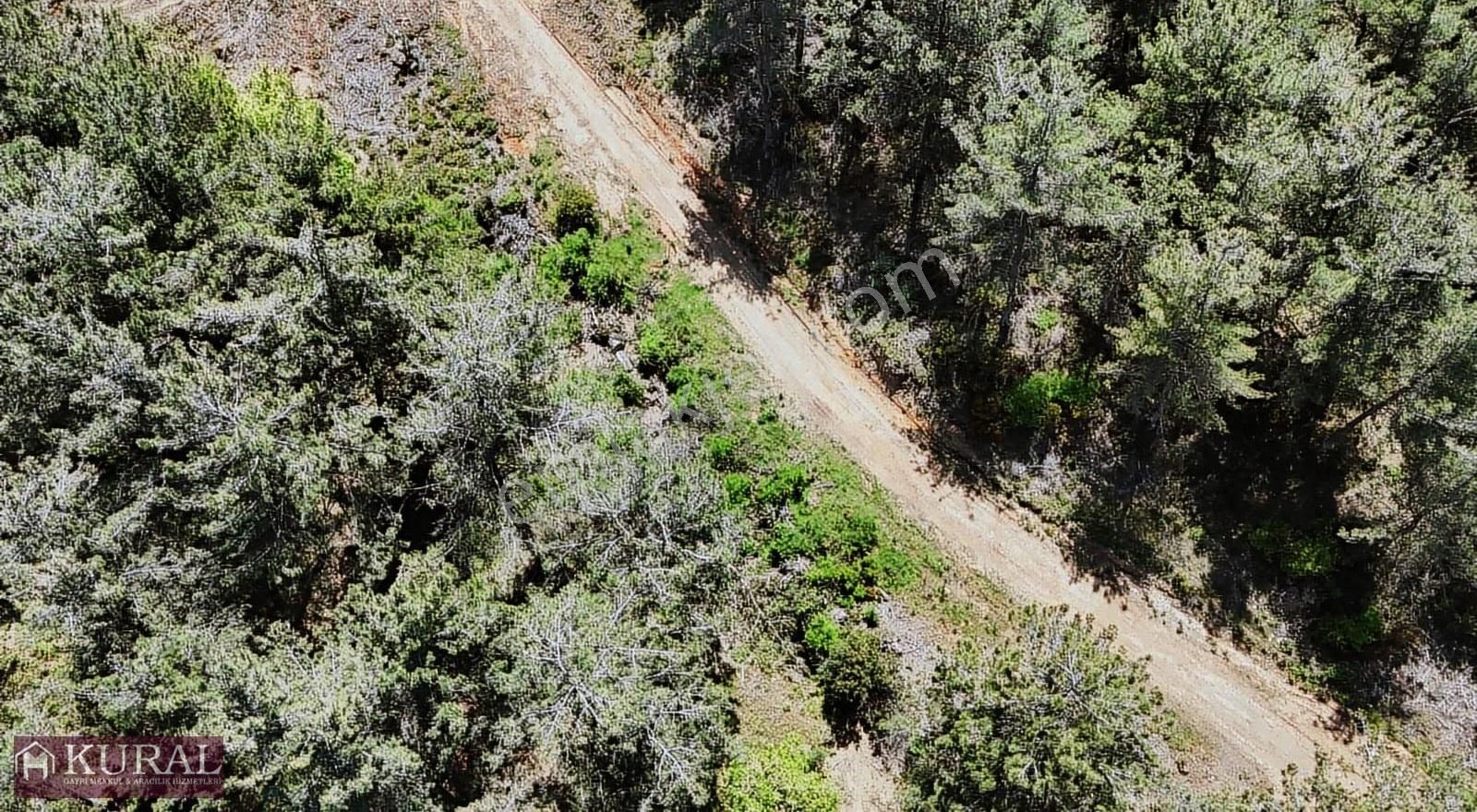 Ataköy Karacadağda Konteynerevi Tek Müstakil Tapu Menderes İzmir - Görsel 8