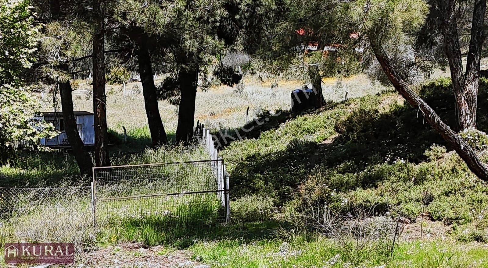 Ataköy Karacadağda Konteynerevi Tek Müstakil Tapu Menderes İzmir - Görsel 27