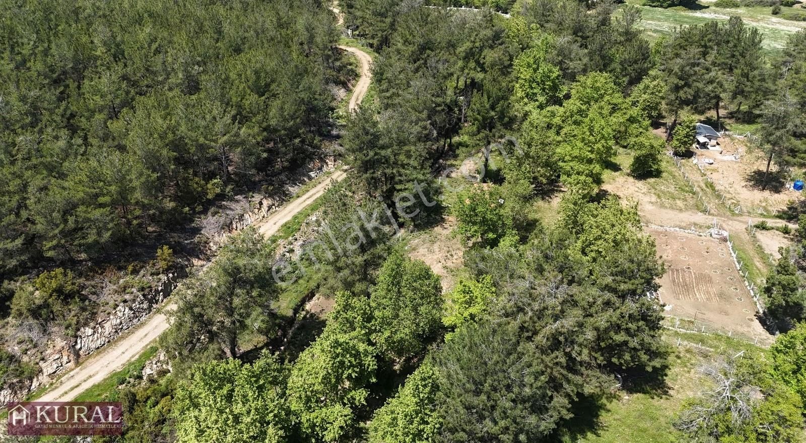 Ataköy Karacadağda Konteynerevi Tek Müstakil Tapu Menderes İzmir - Görsel 11