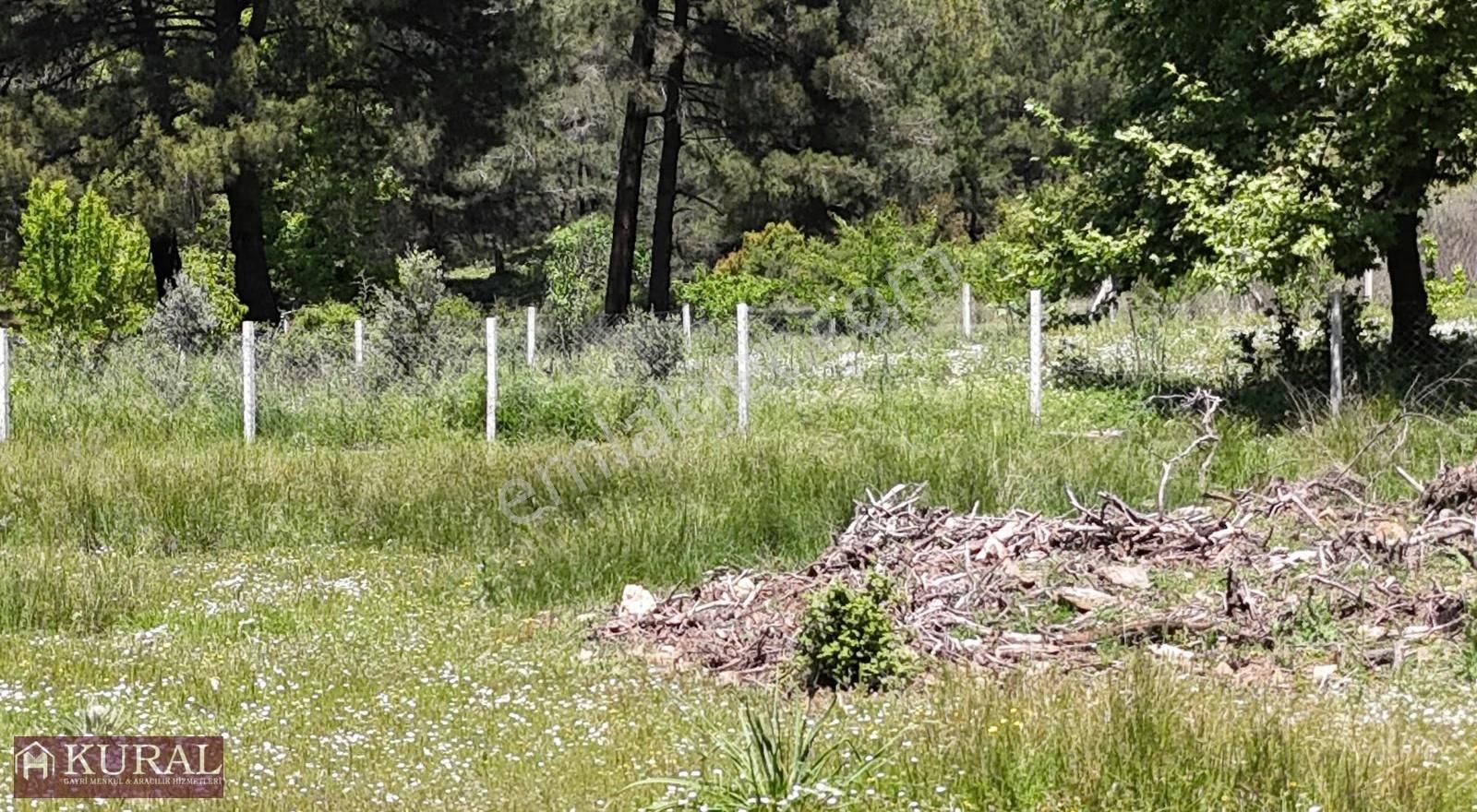 Ataköy Karacadağda Konteynerevi Tek Müstakil Tapu Menderes İzmir - Görsel 4