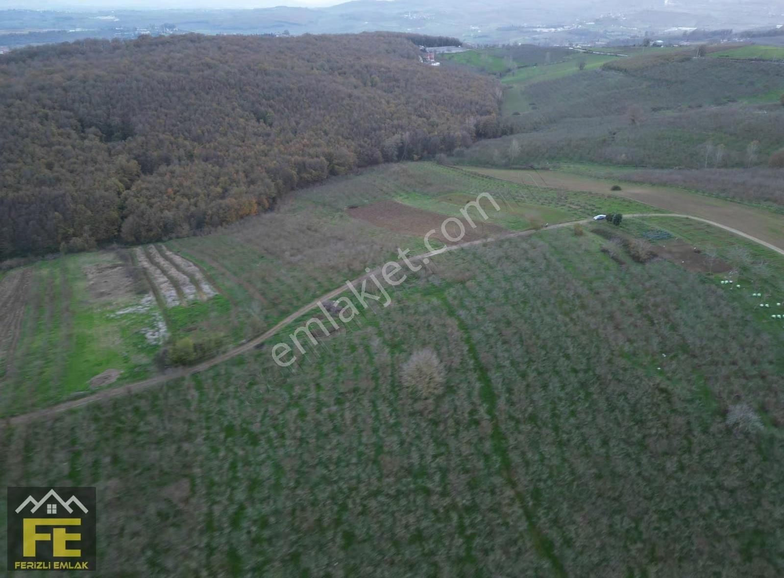 Satılık Fındık Bahçesi Ve Hobi Arazisi