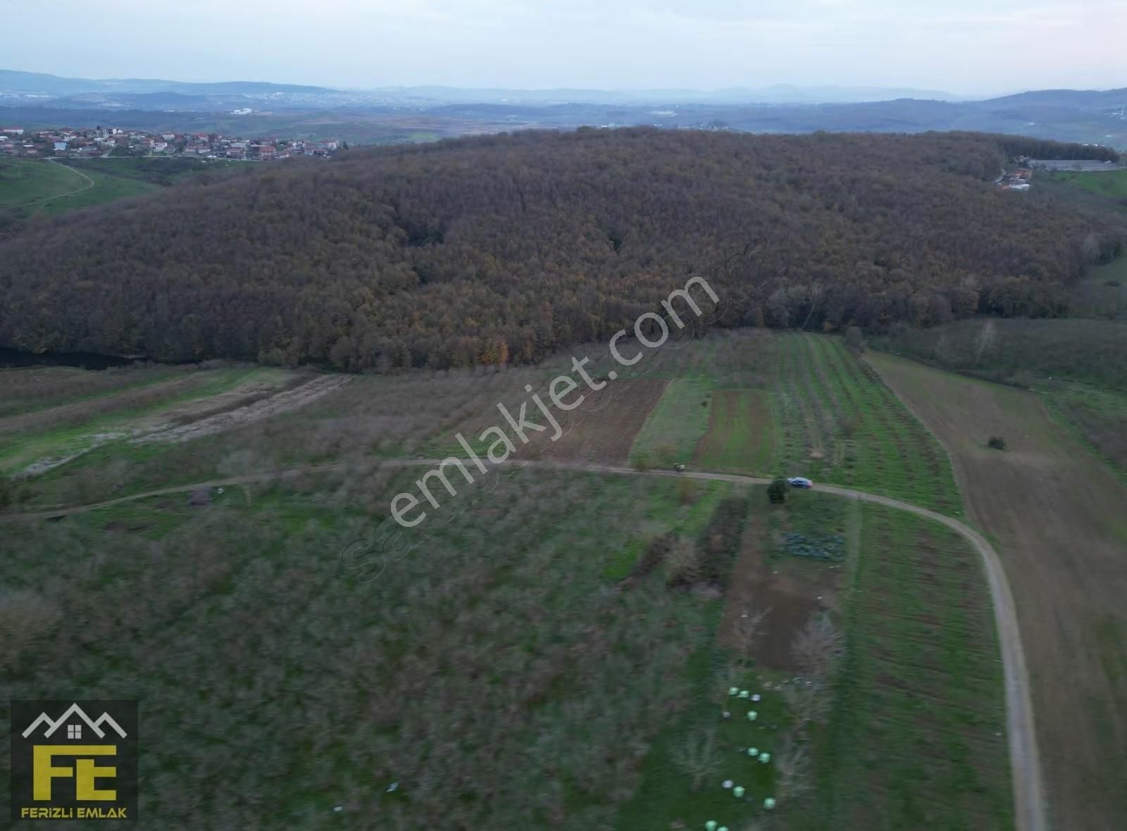 Satılık Fındık Bahçesi Ve Hobi Arazisi - Görsel 7