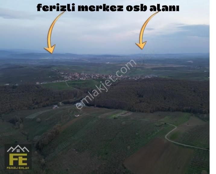 Satılık Fındık Bahçesi Ve Hobi Arazisi - Görsel 17