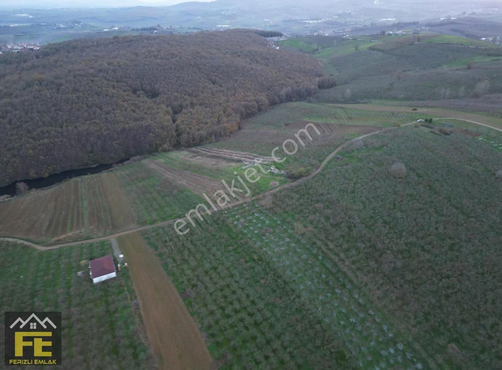 Satılık Fındık Bahçesi Ve Hobi Arazisi - Görsel 14