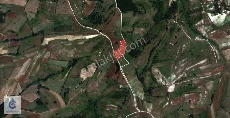 Yatırıma Uygun, Resmi Yola Cepheli Kandıra Teksen 4069 M2 Tarla