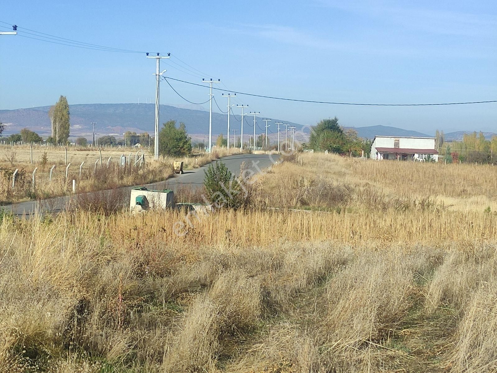 Özpınar,dan Tol Su-elektrik Alınabilir Bahçe Yeri 1700 M2