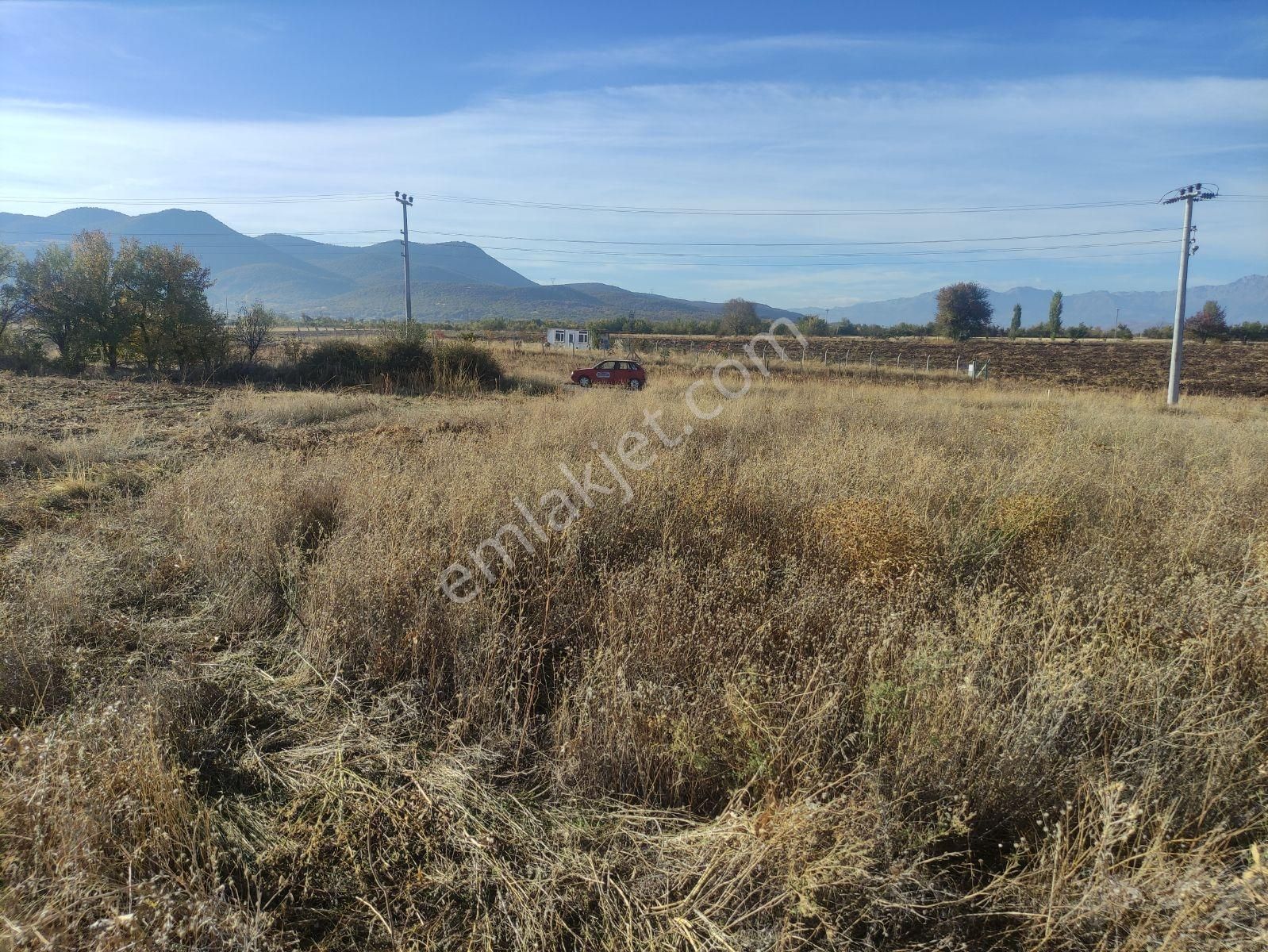 Özpınar,dan Tol Su-elektrik Alınabilir Bahçe Yeri 1700 M2 - Görsel 20