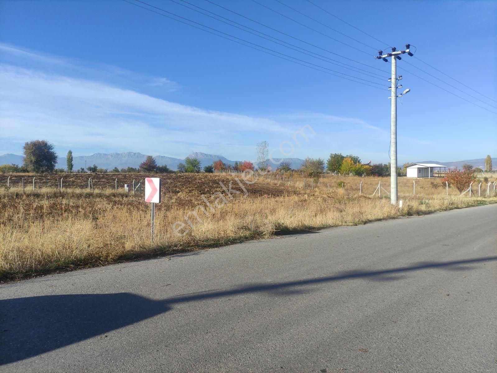 Özpınar,dan Tol Su-elektrik Alınabilir Bahçe Yeri 1700 M2 - Görsel 27