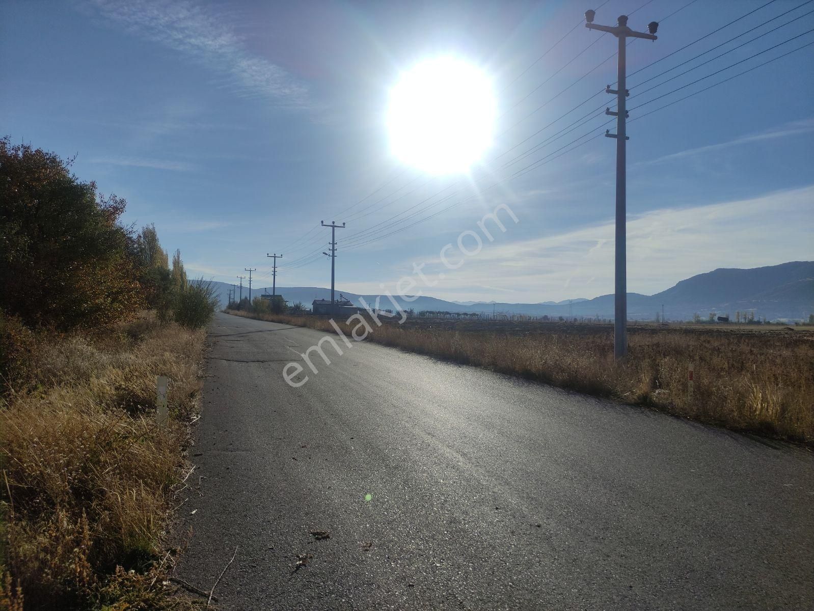 Özpınar,dan Tol Su-elektrik Alınabilir Bahçe Yeri 1700 M2 - Görsel 25
