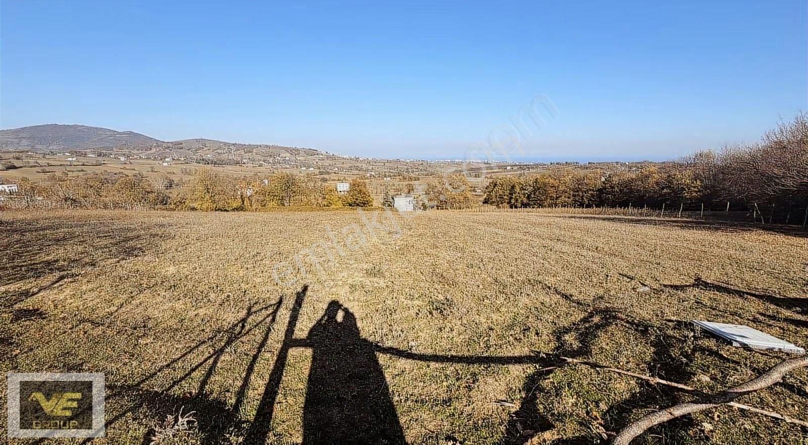 Sarıtaşta 7324 M² Yolu Açık, Elektrik-su Hazır Müstakil Tarla - Görsel 8