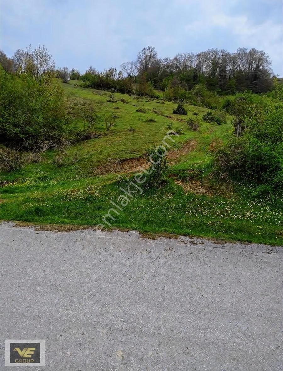 Gürgendağ-yolacephe-köy Yerleşmalanı İçinde-elektriksualınabilir - Görsel 4