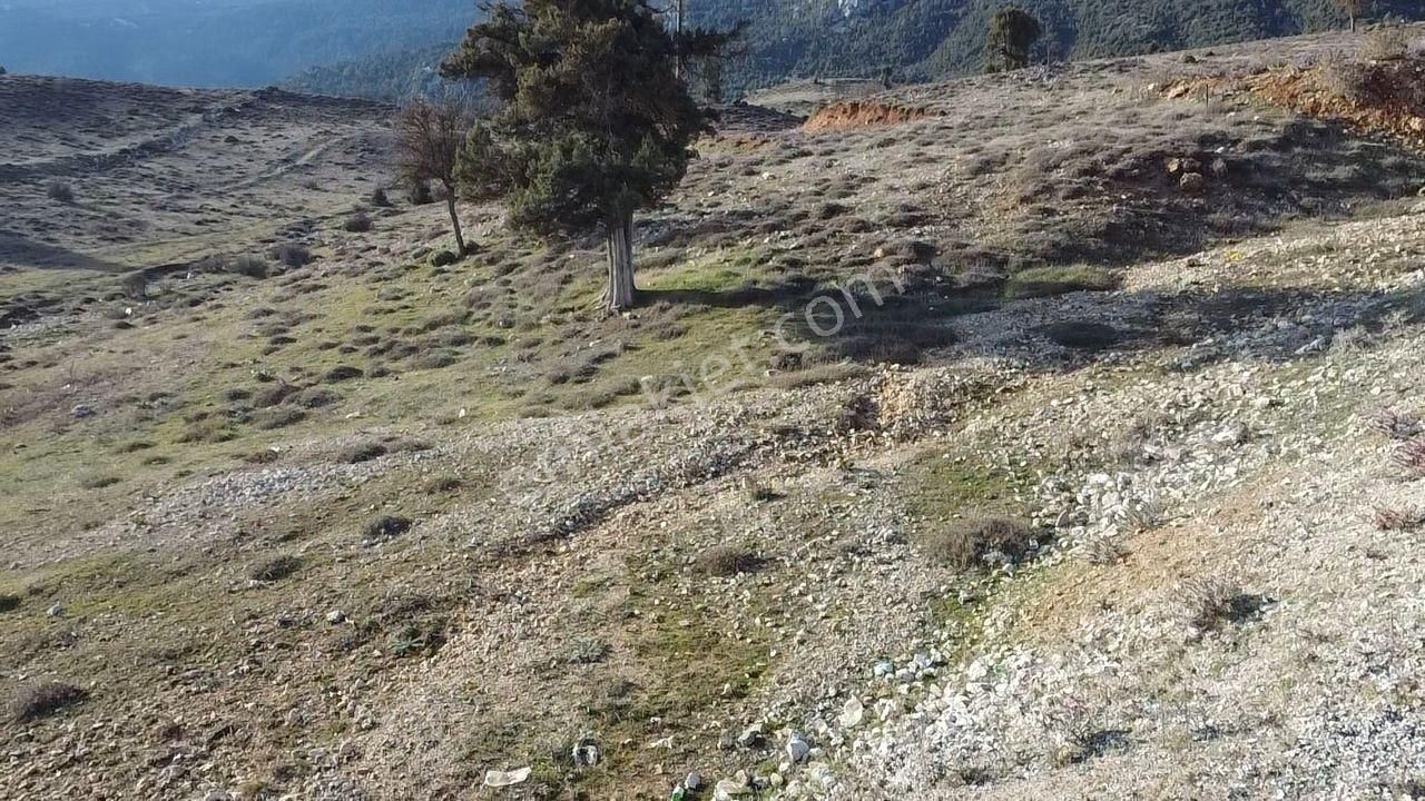 Yayla Ceylan Da Fethiye - Antalya Yoluna Yakın 1990 M2 Arazi - Görsel 23