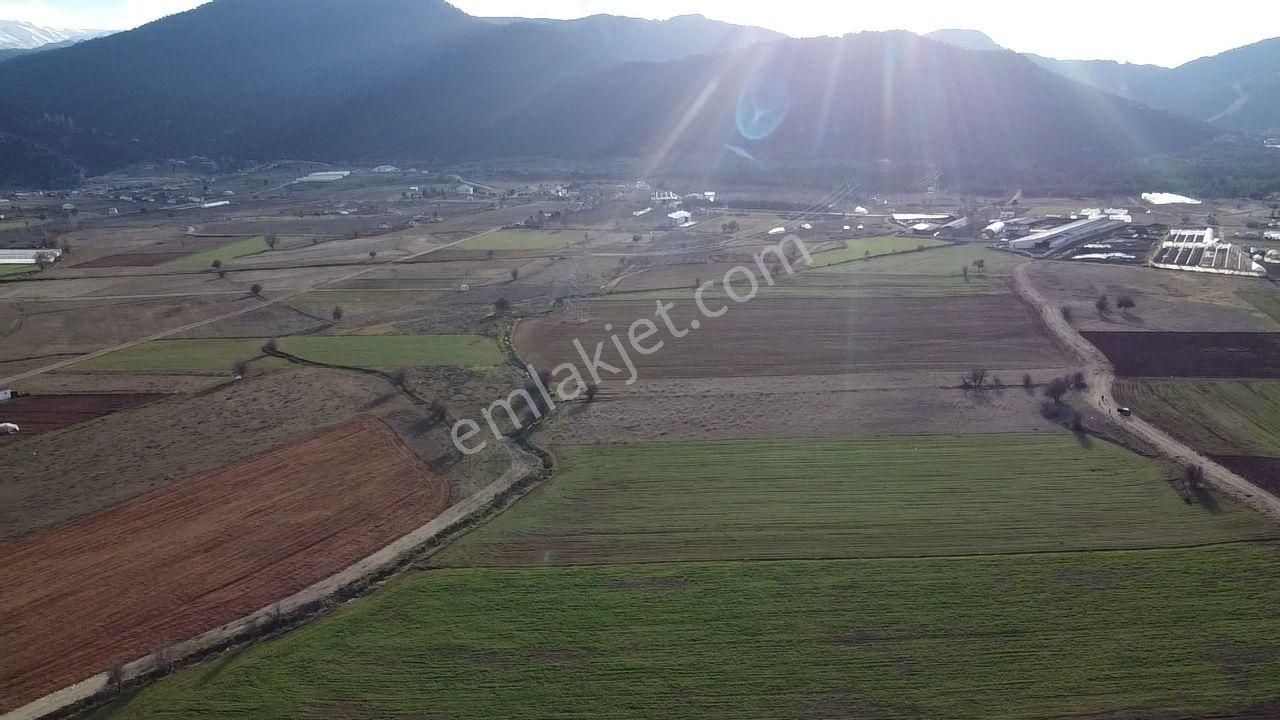Seydikemer Yayla Ceylan Mah. 4150 M2 Fırsat Arazi !!!