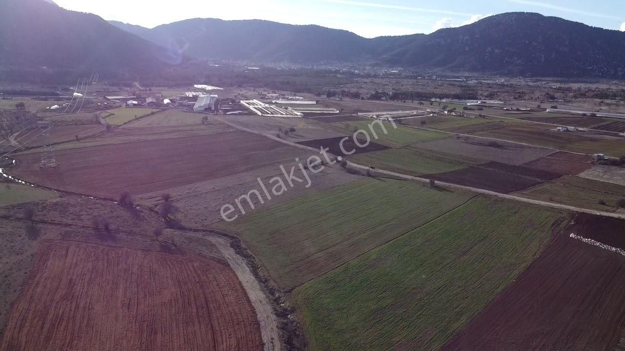Seydikemer Yayla Ceylan Mah. 4150 M2 Fırsat Arazi !!! - Görsel 5