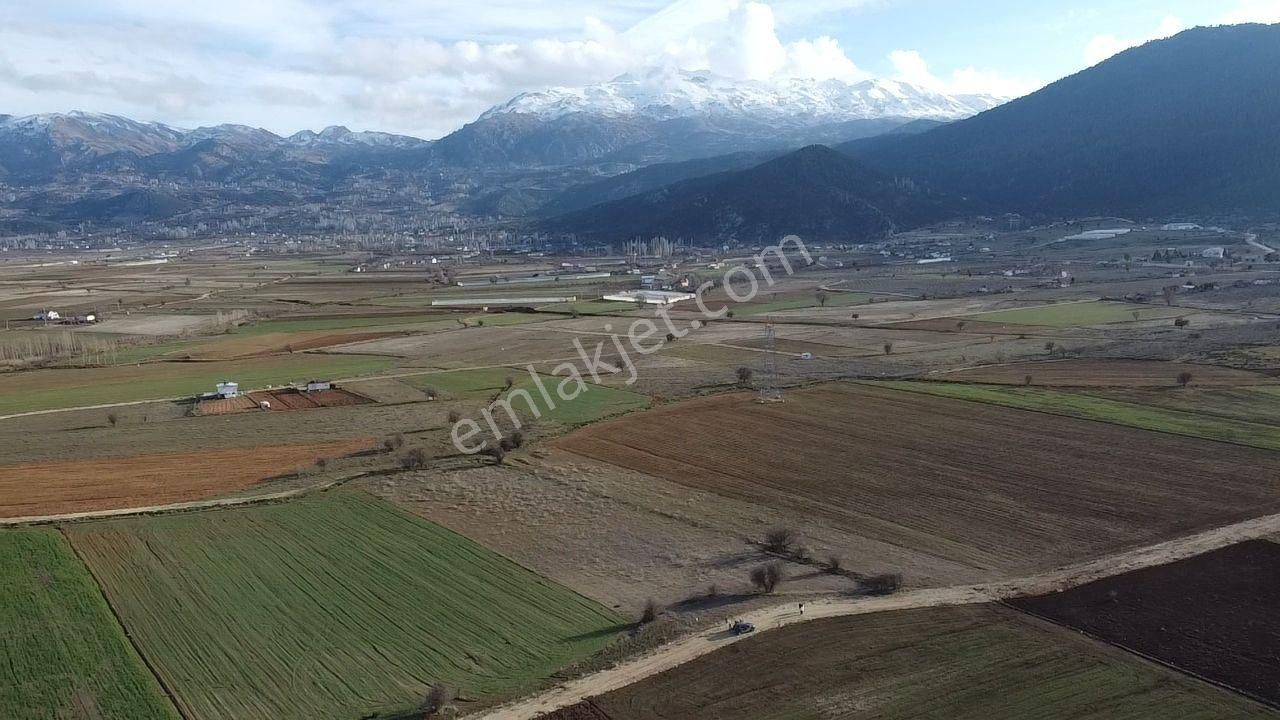 Seydikemer Yayla Ceylan Mah. 4150 M2 Fırsat Arazi !!! - Görsel 6
